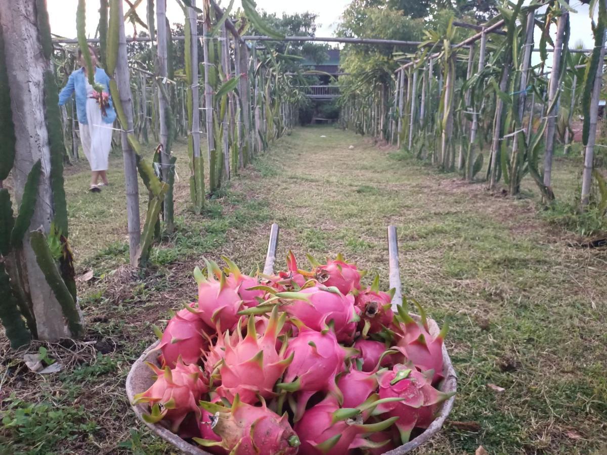 فيينتيان Vongkham Eco Resort المظهر الخارجي الصورة