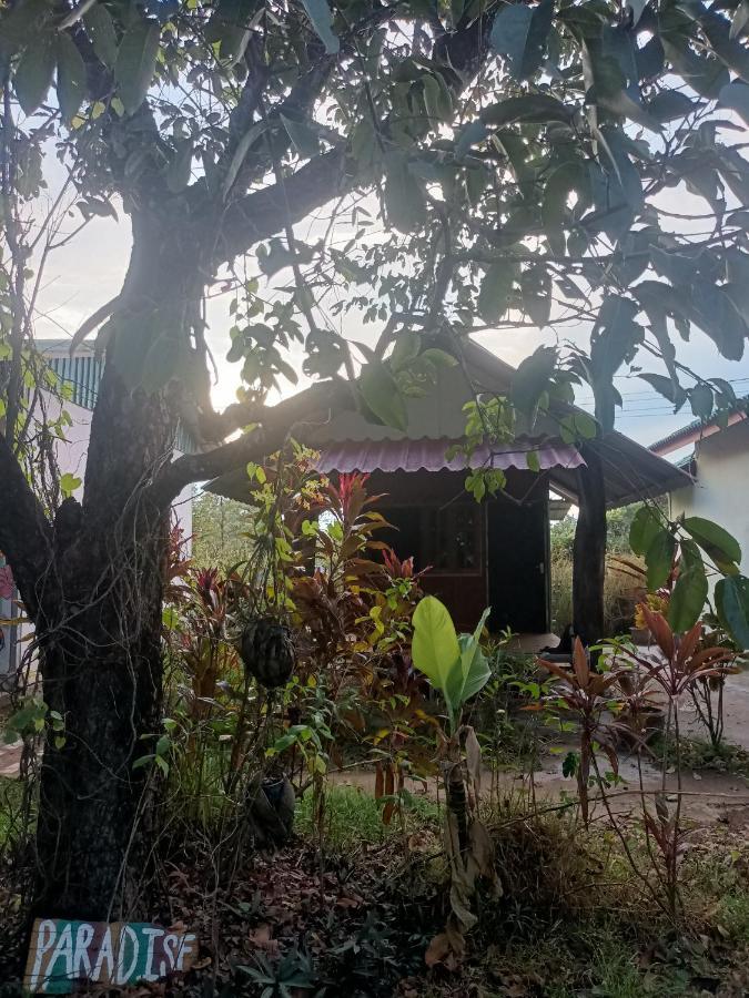 فيينتيان Vongkham Eco Resort المظهر الخارجي الصورة